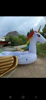 luftboot einhorn