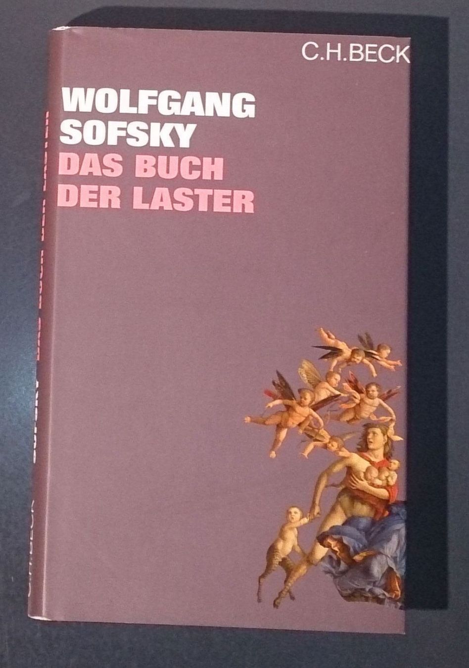 Bücher: Das Buch der Laster – Gebraucht aus Dübendorf von Povo