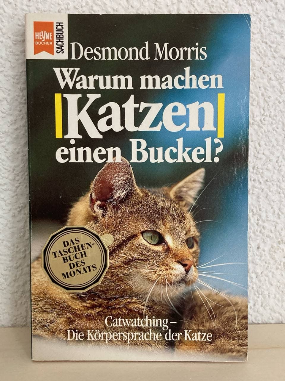 Livres: Warum machen Katzen einen Buckel? Catwatching... – D'occasion à Frauenfeld par Metaria369