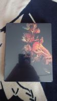MGS Master collection Vol. 2 Steelbook