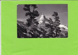 Zermatt-Riffelalp-Matterhorn