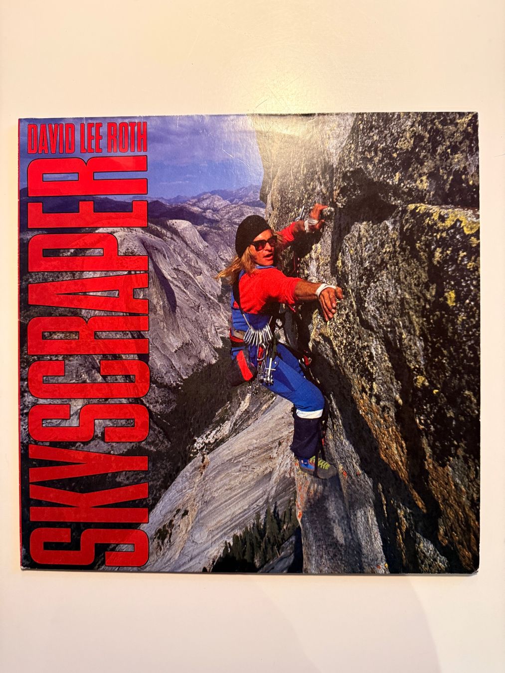 Dischi in vinile: David Lee Roth - Skyscraper – Usato da Unterägeri venduto da hero87333