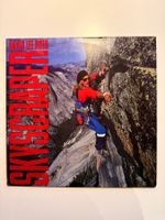 David Lee Roth - Skyscraper