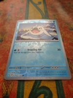 POKEMON  Cetoddle  H  SSP EN  053/191  HP100  2024
