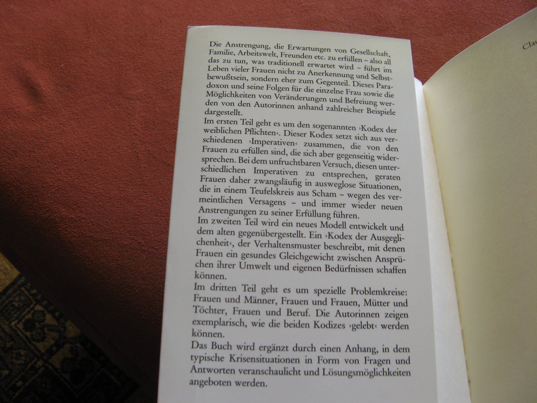Libri: Buch: Das Superfrauen Syndrom – Usato da Zürich venduto da apil 2