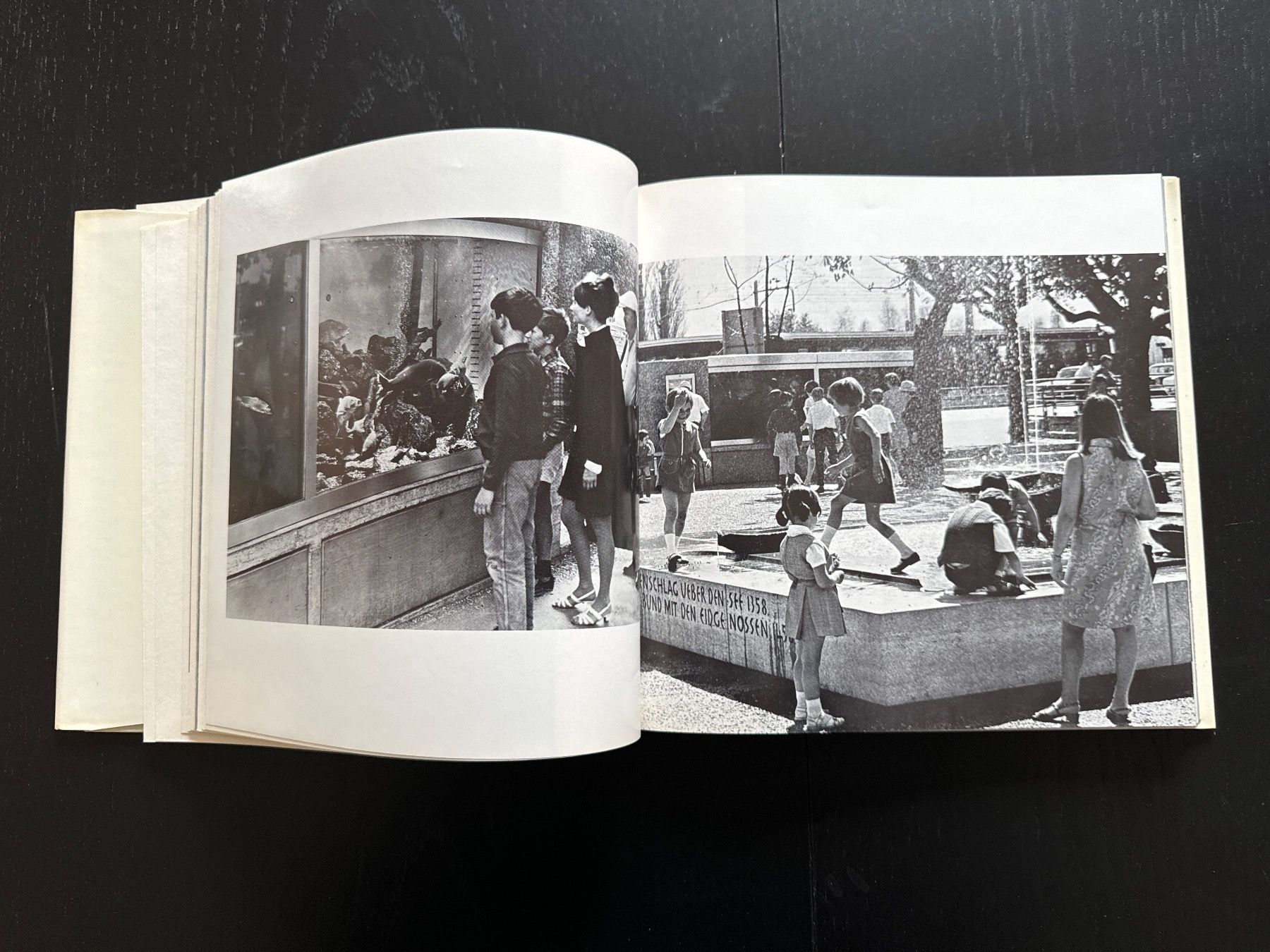 Libri: Rapperswil-Stadt und Land – Usato da Erstfeld venduto da Uhu1980 2
