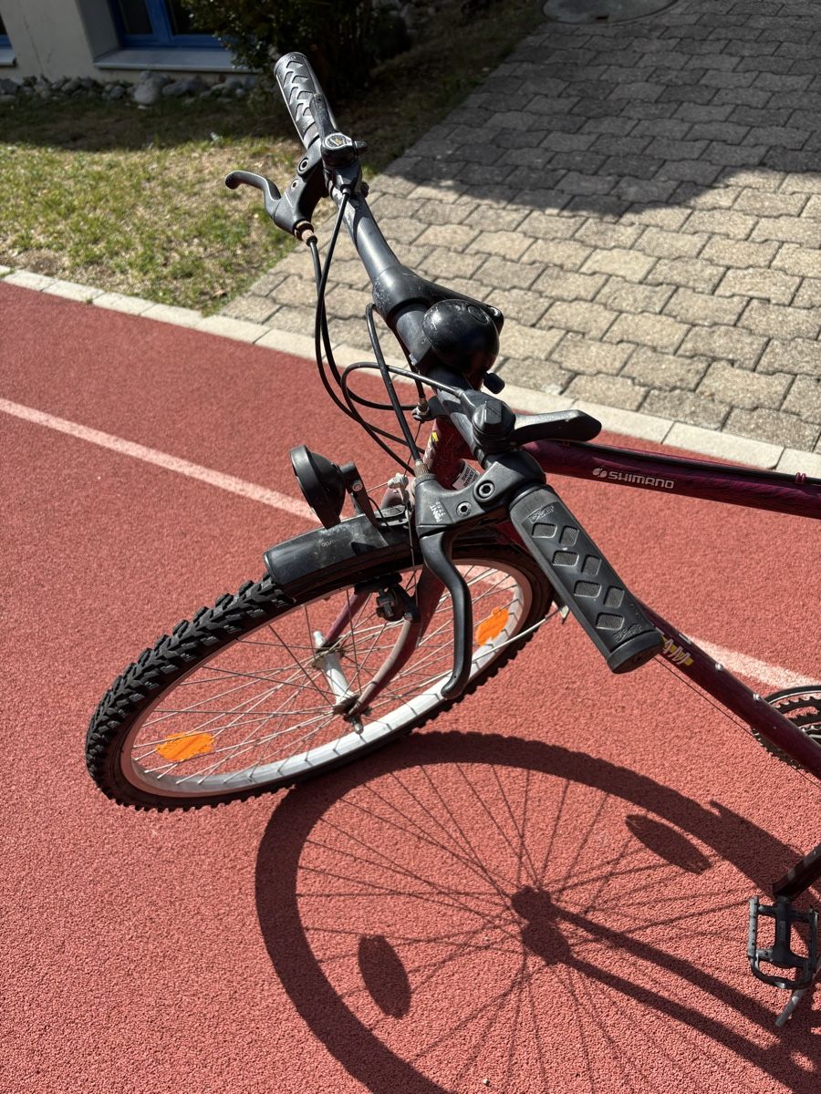 Velos: Velo & Trottinett – Gebraucht aus Hilfikon von Elodie1990 7