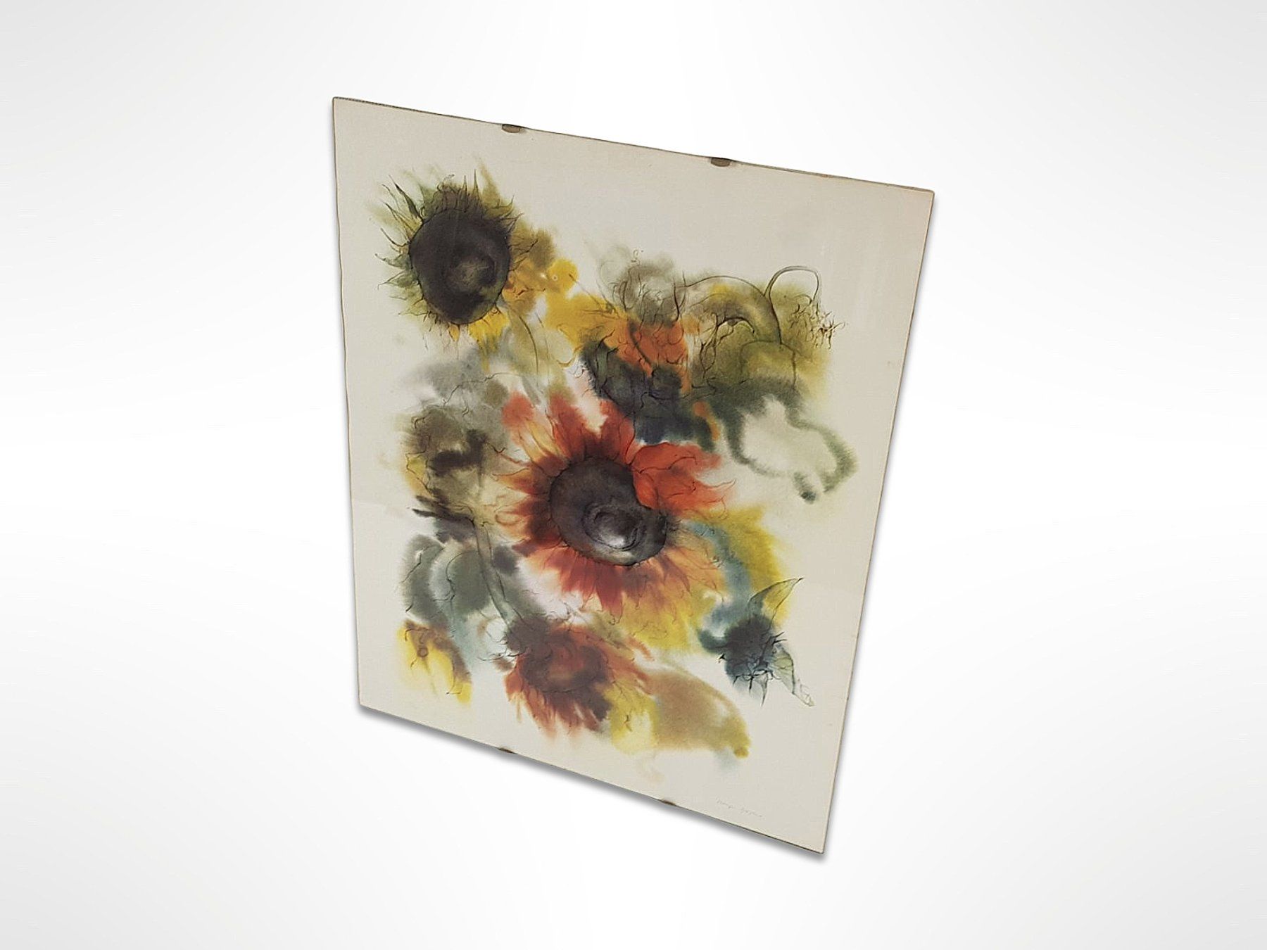 Foto & Immagini: Kunstdruck hochwertig "Meyer-Gasters" Sonnenblume – Usato da Suhr venduto da Restwert_Suhr