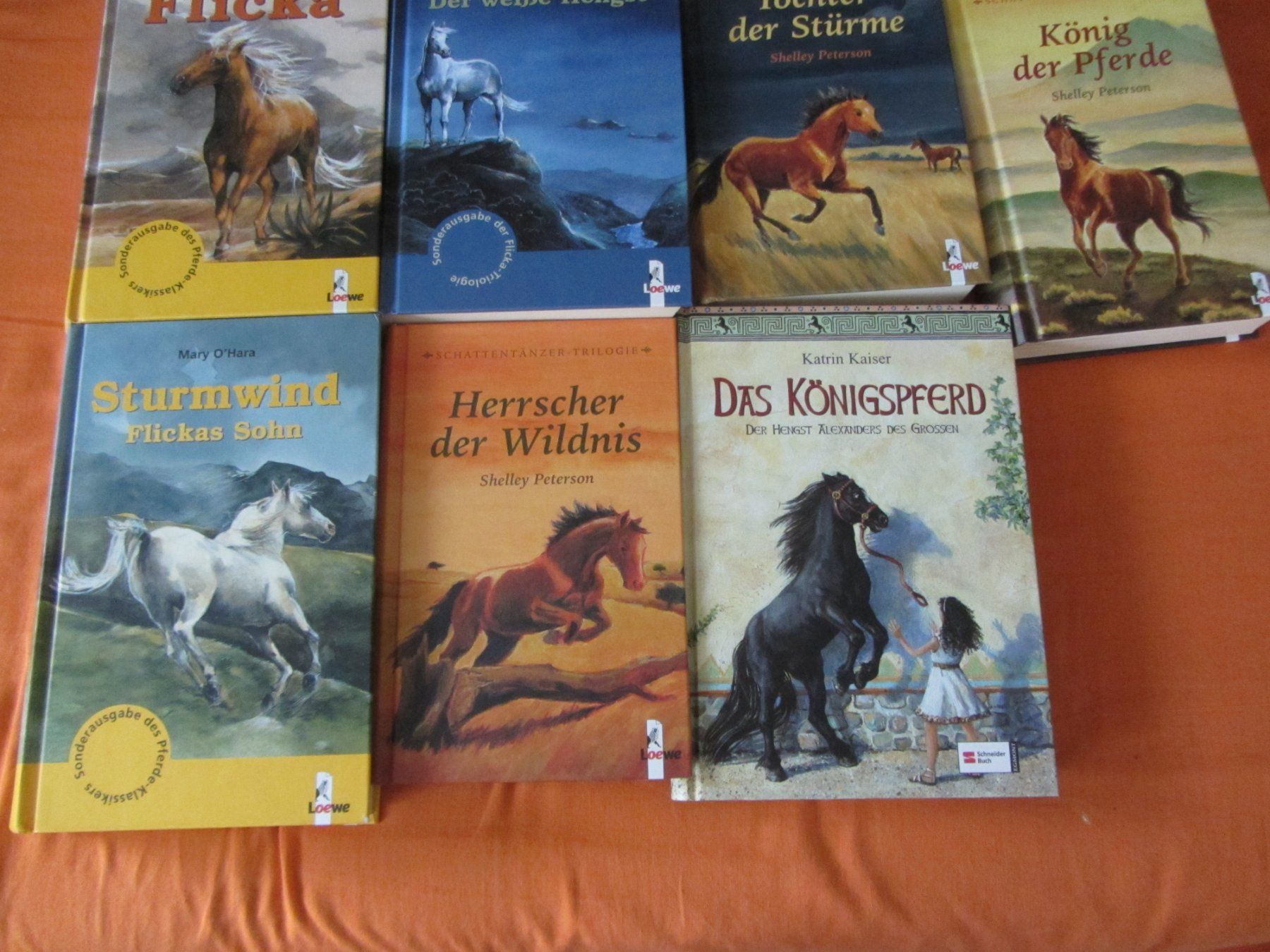 Libri: 11 Jugend Bücher mit Pferden – Usato da Malters venduto da moc_z8d9 2