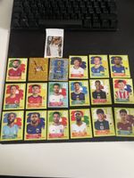 Panini WM 2026
