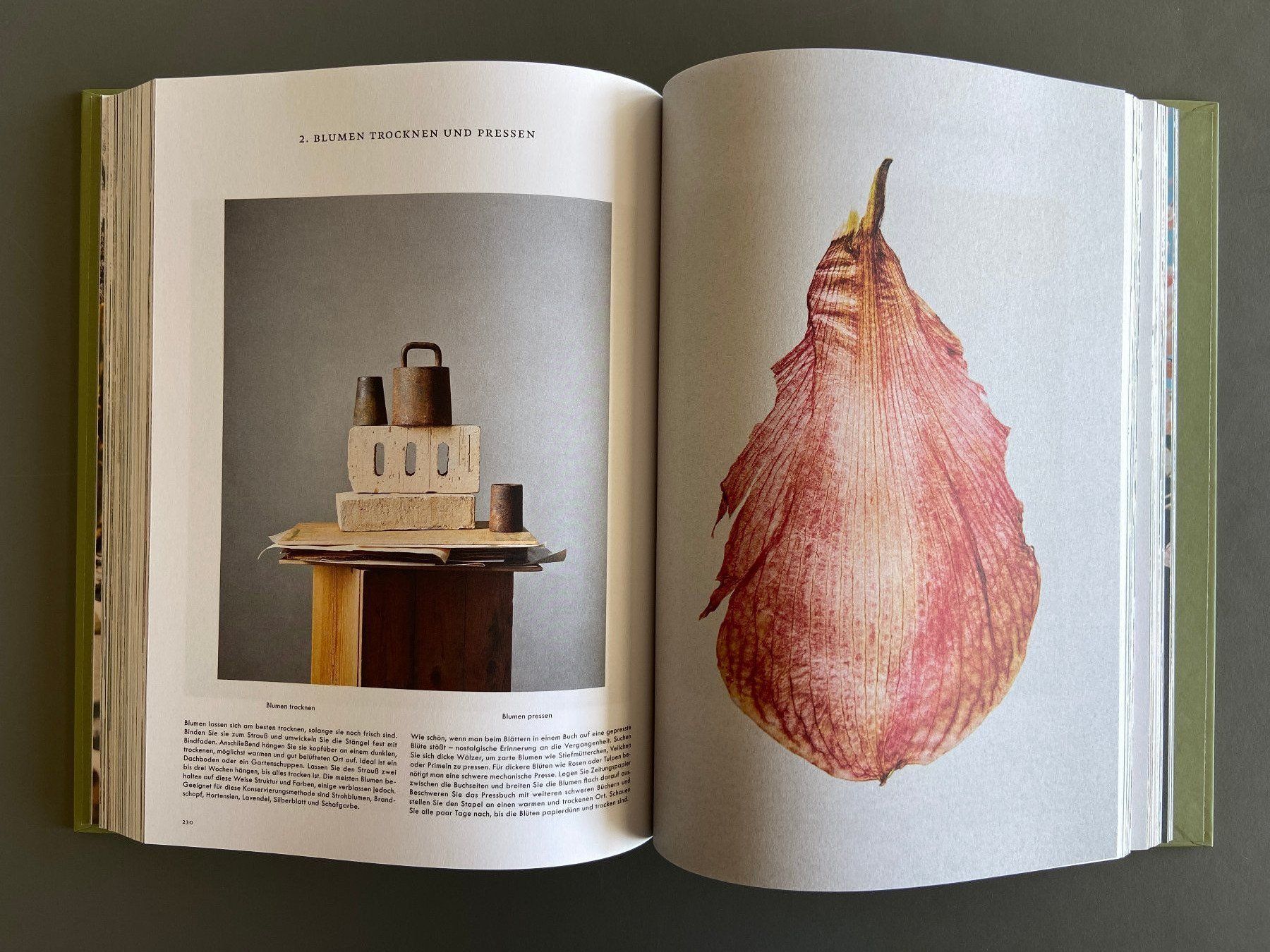 Bücher: The Kinfolk Garden – Gebraucht aus Hünibach von  3