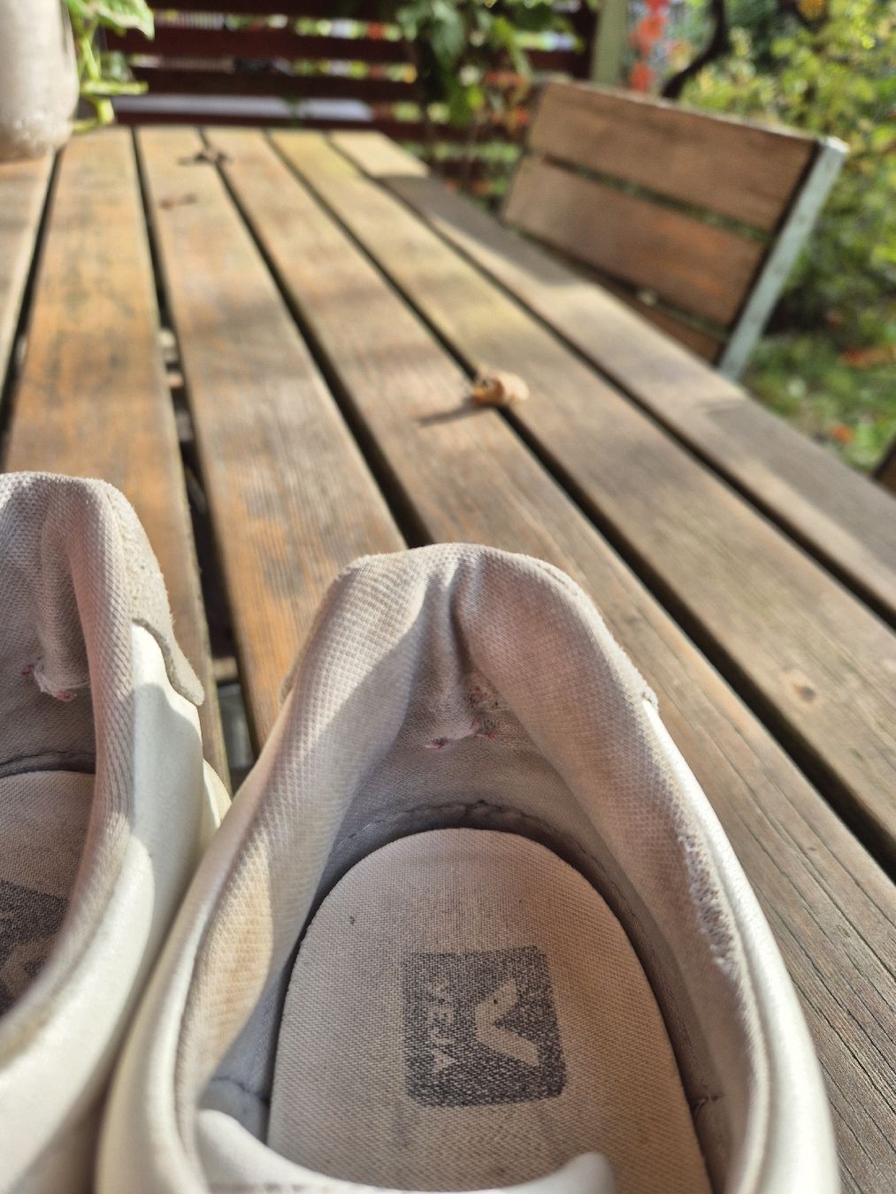 Veja Scarpe da donna: Veja Sneaker Vegan Gr. 42 – Usato da Winterthur venduto da nel_6svj 2
