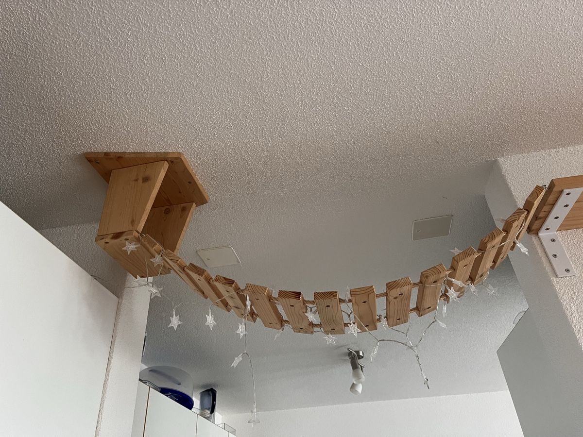 Pareti & prese d'arrampicata: Kletterwand Katzen – Usato da Uster venduto da NElsner 2