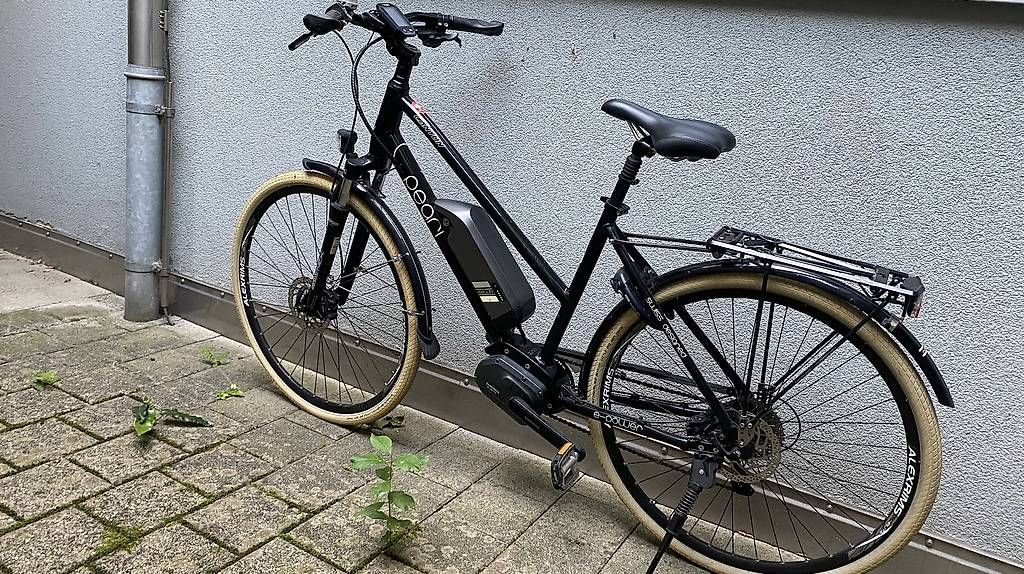 Biciclette: Ebike Canyon Pearl – Usato da Küssnacht am Rigi venduto da 1664oasis