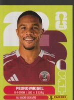 FIFA WORLD CUP 2026 Panini Sticker QAT 7 PEDRO MIGUEL