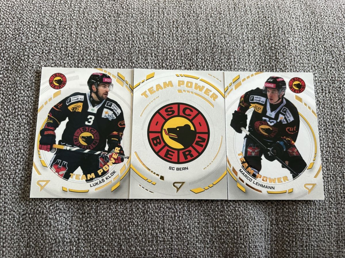 Sportzoo Cartes à collectionner: Sportzoo Team power SC Bern – Neuf (Voir description) à Bellinzona par spa_69zv