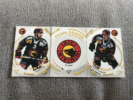Sportzoo Team power SC Bern