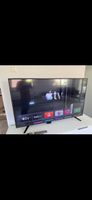 Sharp TV 4K 65‘ Display defekt