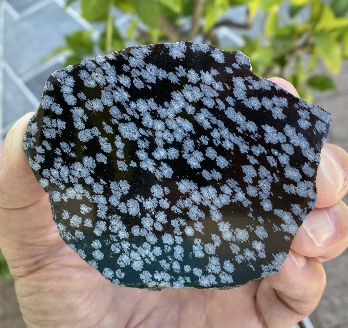 Minéraux & Lithothérapie: Schöne Schneeflockenobsidian Platte  – D'occasion à Selzach par 321compac 2