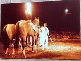 Circus Knie Foto 1982