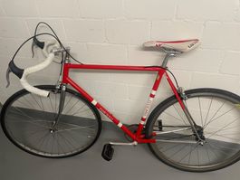 Fanciulli Singlespeed Grösse 54, 28 Zoll
