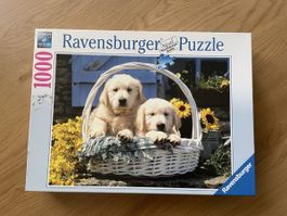 New Puzzle 1000 pièces - Chiots  🐶🧩 - Ravensburger