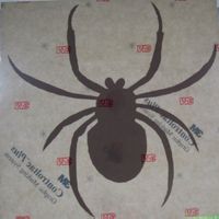Spinne Aufkleber