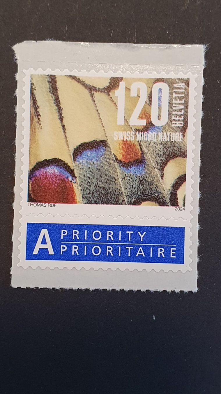 Alle Briefmarken: Abart : Druckverschiebung Schwalbenschwanz 2024 – Gebraucht aus Worb von Buespy 2