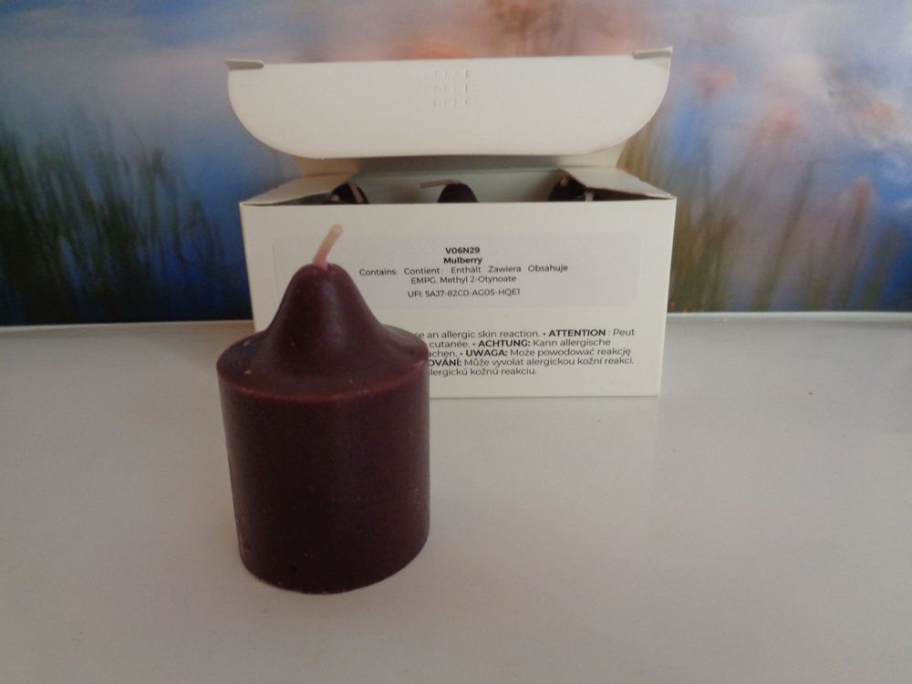 6 Votivkerzen Honigmelone ODER Eisfrüchte ODER Maulbeere (Neu und ...