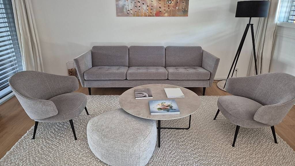 Sessel: Möbelensemble von BoConcept in Grau und Eiche Espresso – Gebraucht aus Vandoeuvres von cex_6pzd