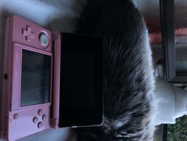 Console Nintendo 3DS rose modèle d'occasion état usagé