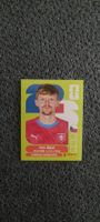 Panini FIFA World Cup 2026 Sticker - CZE 14 Pavel Sulc