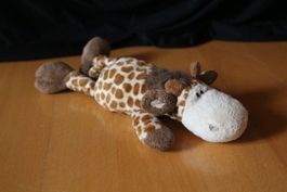 Nici Giraffe liegend
