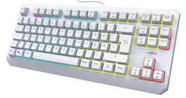 Gaming Tastatur