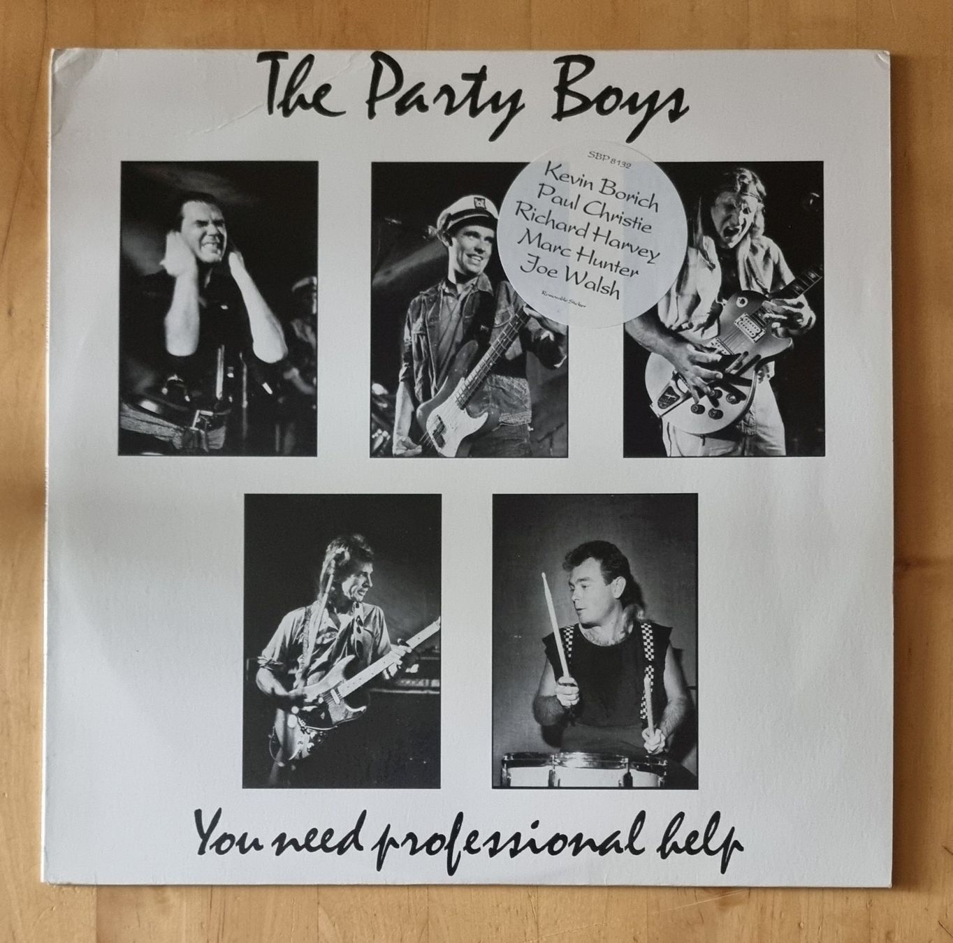 Dischi in vinile: LP The Party Boys "You Need Professional Help" mint! – Nuovo e nell'imballaggio originale da Luzern venduto da Frizzz