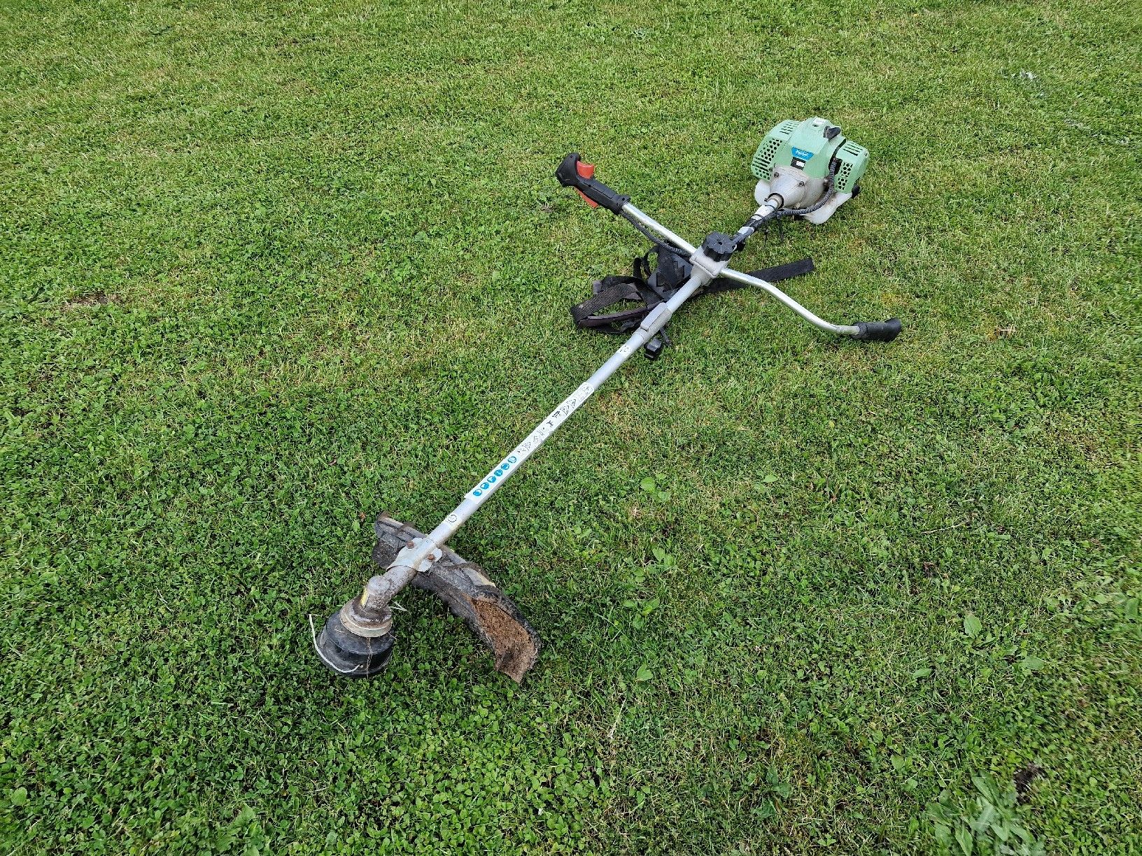 Tagliaerba: Starker Trimmer – Usato da Tagelswangen venduto da Axel_36 1