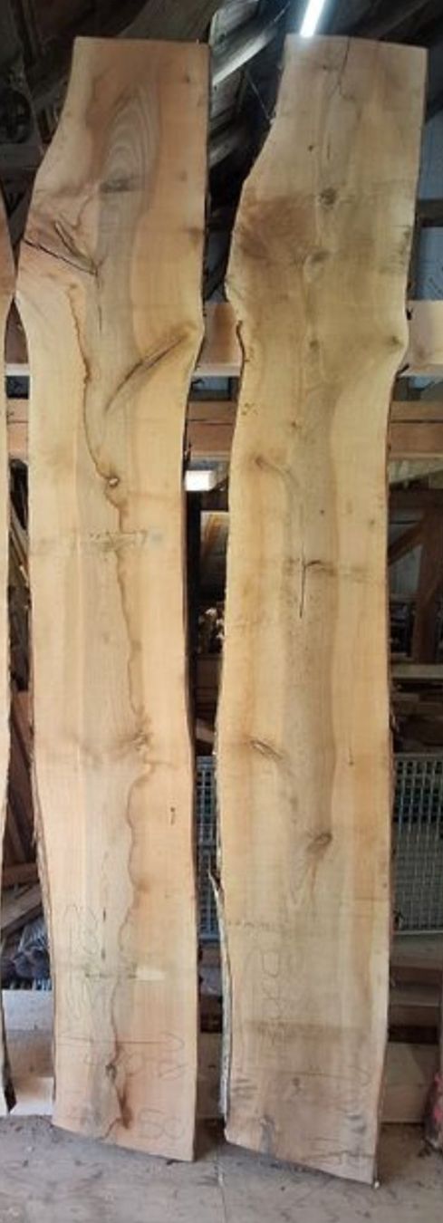 Articles en bois: Nussbaumbretter 3m, 50mm – Neuf (Voir description) à Waldkirch par bauprofi87