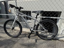 Kindervelo Early Rider 20 Zoll