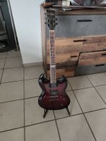 VIG / VGS Cobra