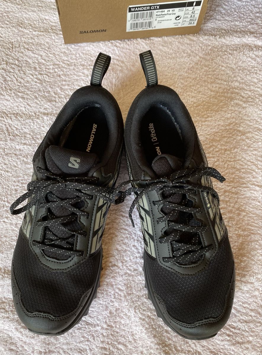 Salomon Scarpe da uomo: SALOMON Wander GTX – Usato da Trübbach venduto da milaverano22