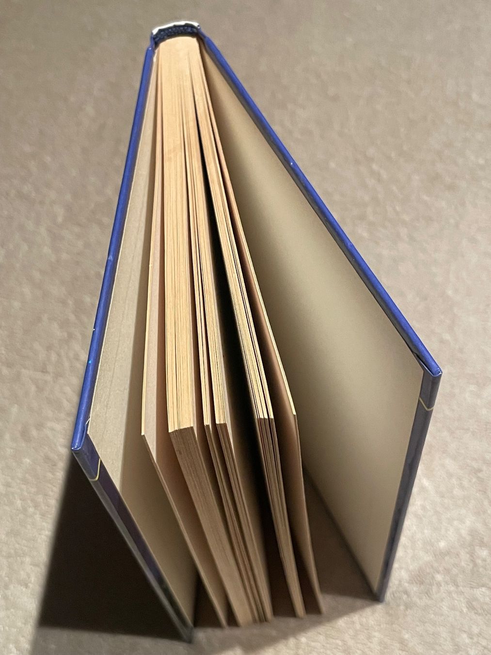 Libri: Bibi Blocksberg Band 2: Der Hexengeburtstag – Usato da Niederwangen BE venduto da m_s13 3