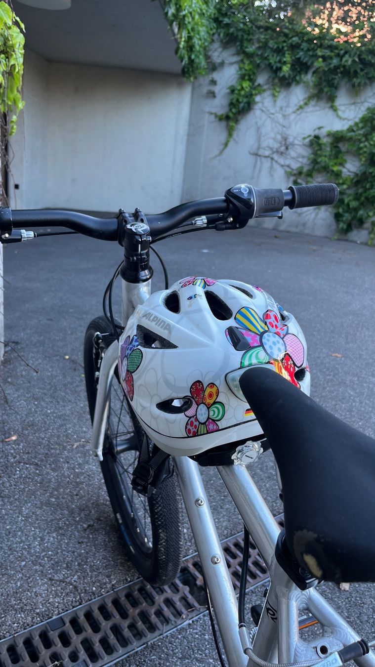 Early Rider Biciclette: Early Rider 20" – Usato da Thalwil venduto da yordankajp 2