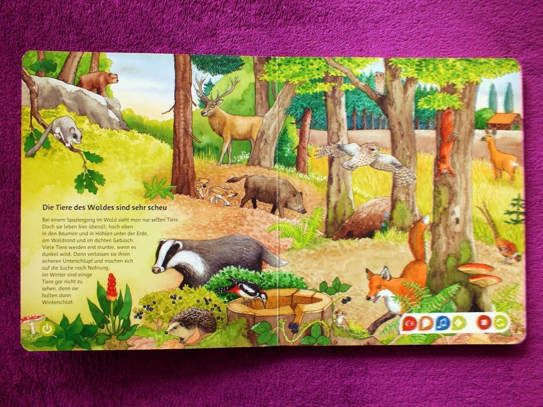Bücher: tiptoi Buch - Bilderlexikon Tiere – Gebraucht aus Müllheim Dorf von Seeeule01 3