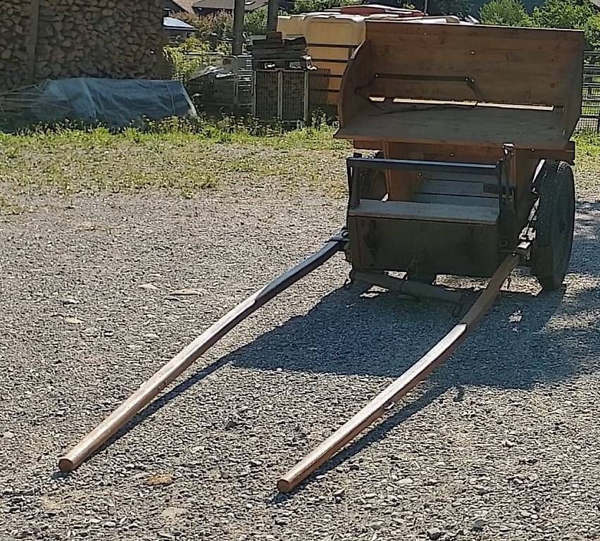 Kutschen: Trainwägeli – Gebraucht aus Burgdorf von RosiVera 1
