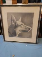 1 BLEISTIFTZEICHNUNG SCHÄFERHUND A. SCHWARZENBACH 1932