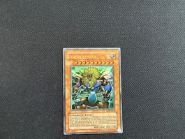 Androsphinx + Teleia die Sphinx + Theinen die grosse Sphinx