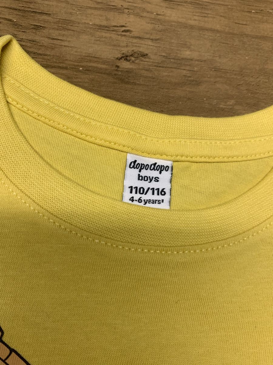 Hemden, T-Shirts & Polos: T-Shirt Bagger Motive, Gr. 110/116 – Gebraucht aus Buus von 2013dp 2