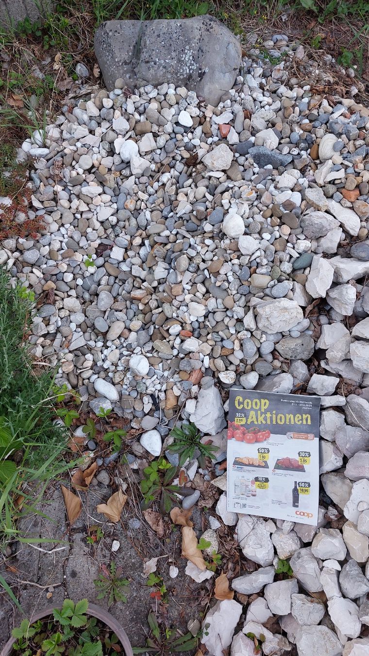 Pietre & tegole: Diverse Steine günstig/gratis – Usato da Rombach venduto da FrauBlume90 1