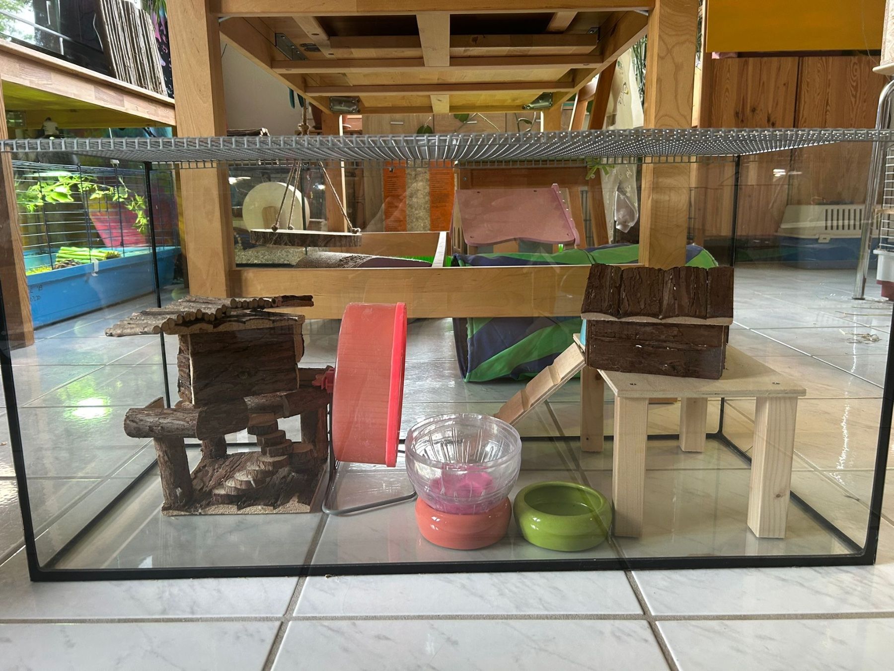Gabbie, trasporto & Sicurezza: Cage Hamster – Usato da Cudrefin venduto da des_d2n2 2