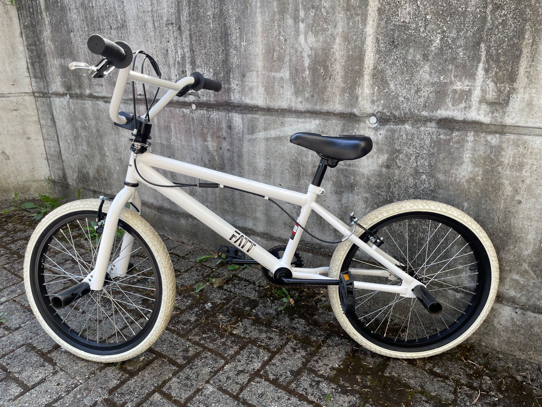 Biciclette: BMX – Usato da Ipsach venduto da Layco 2